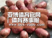 产品展示标题5