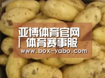 产品展示标题6