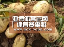 产品展示标题2