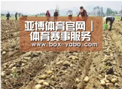 种植基地一