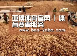 种植基地二