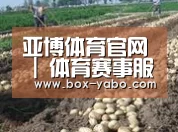 种植基地七(图1)