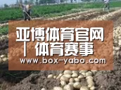 种植基地八