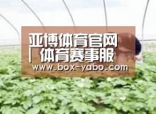 种植基地三