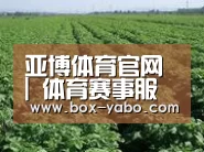 种植基地五(图1)