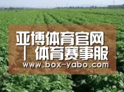 种植基地五