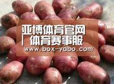 产品展示标题5(图1)