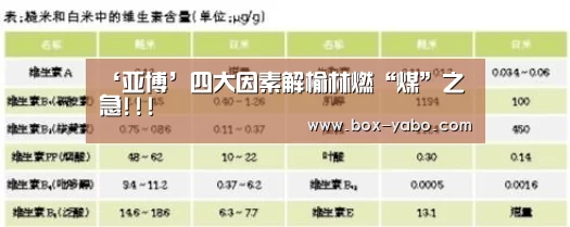 ‘亚博’四大因素解榆林燃“煤”之急!!!(图1) 亚博
