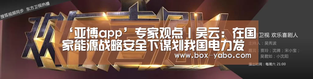 ‘亚博app’专家观点丨吴云:在国家能源战略安全下谋划我国电力发展(图1) 亚博体育官网