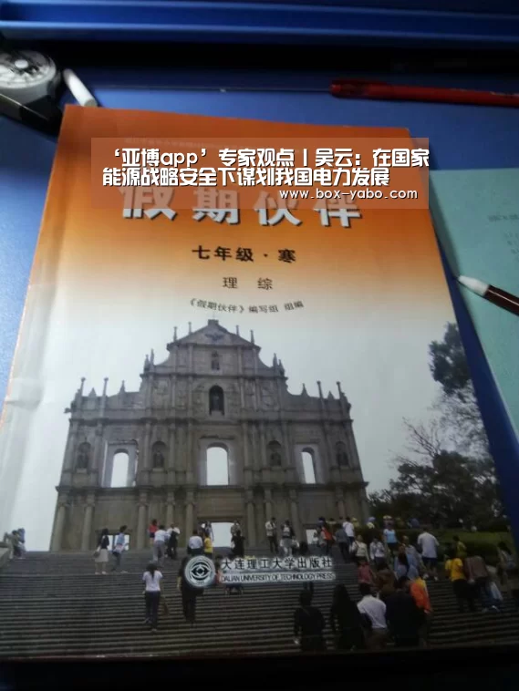 ‘亚博app’专家观点丨吴云:在国家能源战略安全下谋划我国电力发展(图2) 亚博体育