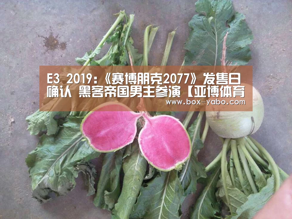 E3 2019:《赛博朋克2077》发售日确认 黑客帝国男主参演【亚博体育官网】(图1) 亚博app