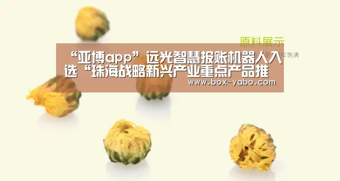 “亚博app”远光智慧报账机器人入选“珠海战略新兴产业重点产品推广目录”(图3) 亚博体育