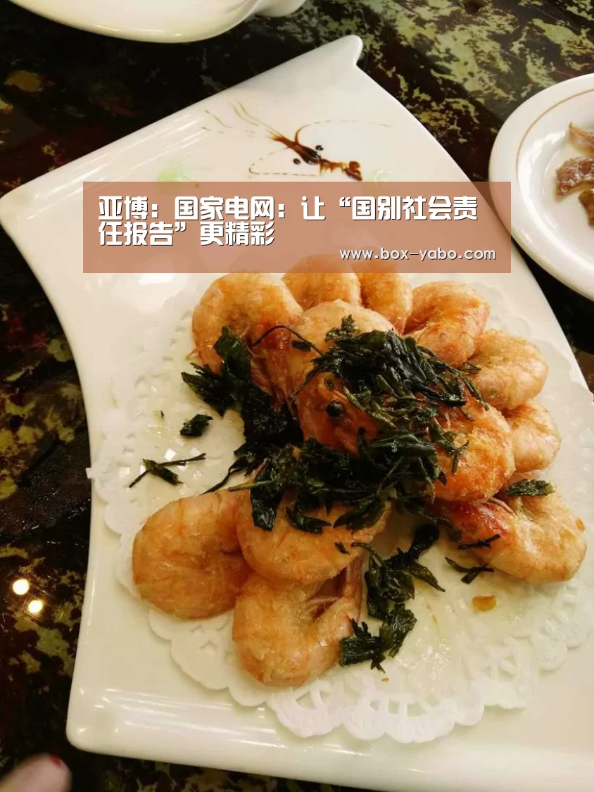 亚博:国家电网:让“国别社会责任报告”更精彩(图1) 亚博