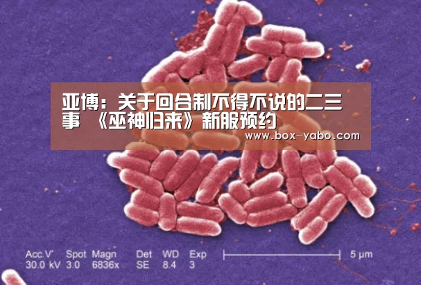 亚博:关于回合制不得不说的二三事 《巫神归来》新服预约(图1) 亚博体育官网