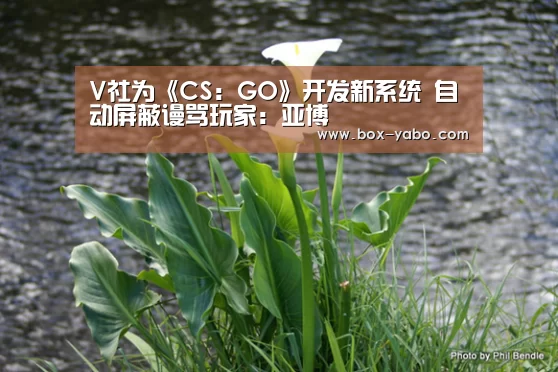 V社为《CS:GO》开发新系统 自动屏蔽谩骂玩家:亚博(图1) 亚博